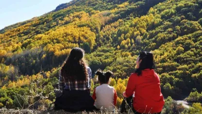 Altın ve kızılın dansı: Erzincan’ın dağları sonbahar güzelliğiyle büyülüyor