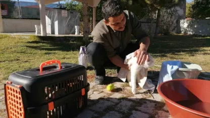 Cami imamı onlarca kediye bakıyor