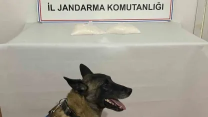 Van Muradiye’de 2 kilo metamfetamin ele geçirildi