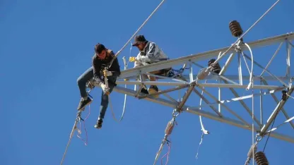 Van’da 31 kilometrelik enerji hattı tamamlandı: Çalışmalarda yabani kuşlar gözetildi