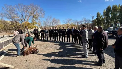 Tutak’ta hayvan pazarı inşaatı başadı!