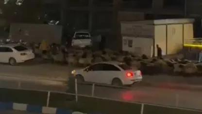 İlçe merkezinden  koyun sürüsünün geçişi ilginç görüntüler oluşturdu