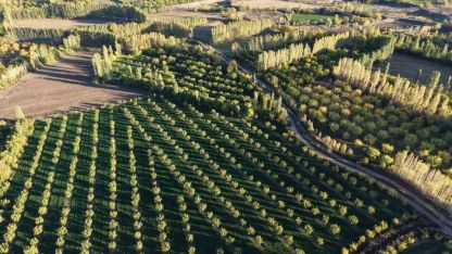 Iğdır’ın renk cümbüşüne dönüşen doğal cenneti İrem Bağları, havadan görüntülendi