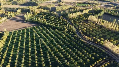 Iğdır’ın renk cümbüşüne dönüşen doğal cenneti İrem Bağları, havadan görüntülendi
