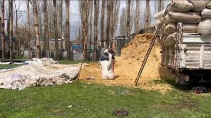 Ağrı’da besiciler kış telaşında
