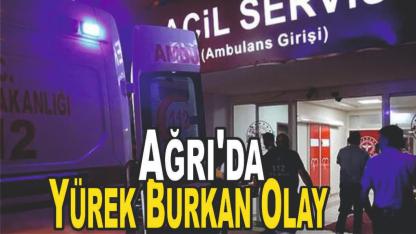 Ağrı'da Yürek Burkan Olay