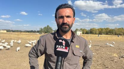 Ağrılı Girişimciden Örnek Başarı: 40 Tavukla Başladı, 2 Bin Hayvana Ulaştı