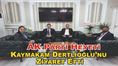 AK Parti Heyeti Patnos Kaymakamı’nı Ziyaret Etti
