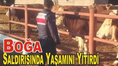 Boğa Saldırısında Yaşamını Yitirdi