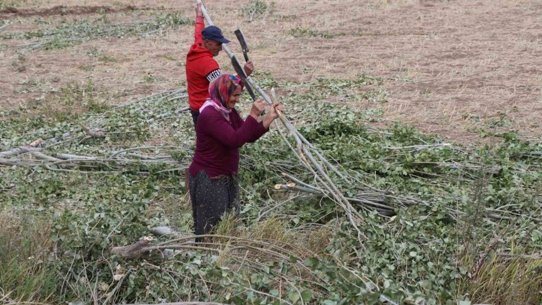 Köylerde kışlık odun hazırlığı