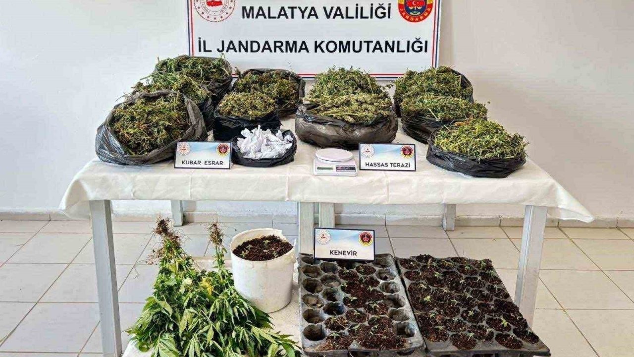 Malatya’da 13 kilo esrar ele geçirildi: 5 şahıs tutuklandı