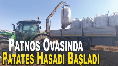 Patnos Ovasında Patates Hasadı Başladı