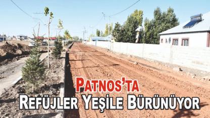 Patnos'ta Ağaçlandırma Çalışmaları Devam Ediyor