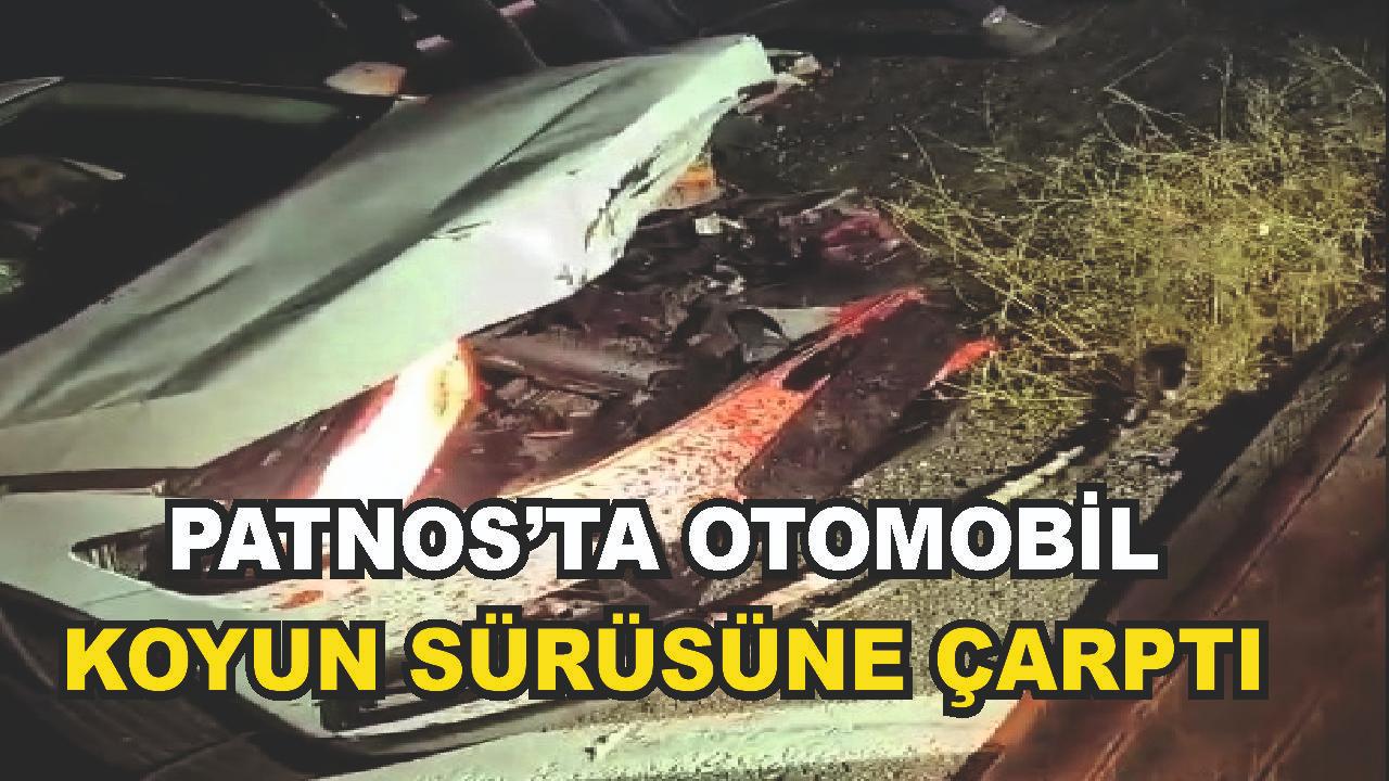 Patnos&#039;ta Otomobil Koyun Sürüsüne Daldı