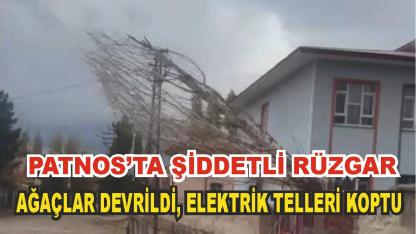 Patnos'ta Şiddetli Rüzgar Ağaçları devirdi (Videolu Haber)