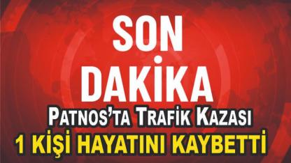Patnos’ta Trafik Kazası: 1 ölü