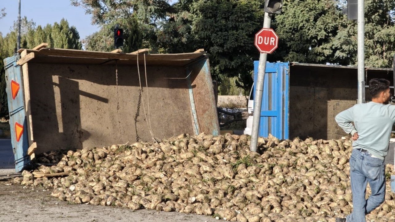 Şeker pancarı yüklü traktör devrildi
