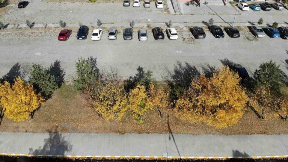 Sonbahar Kars’ta renk tonları ile büyülüyor