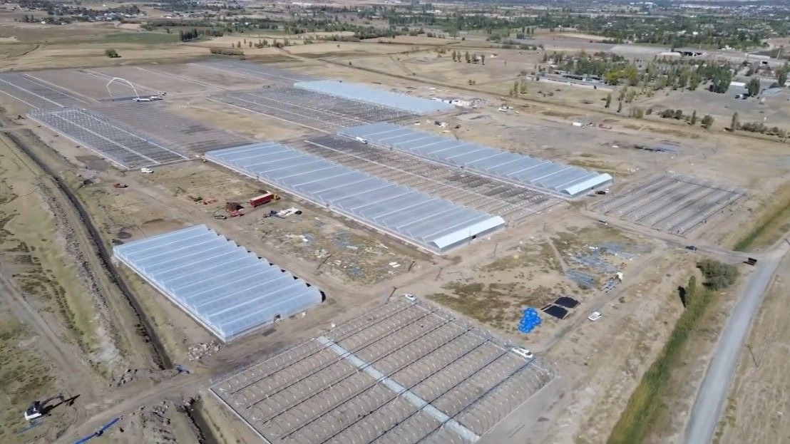 Toplu Sera Bölgesi Erzincan’da 700 kişiye istihdam sağlayacak, ekonomiye yıllık 350 milyon TL’lik katkı sunacak