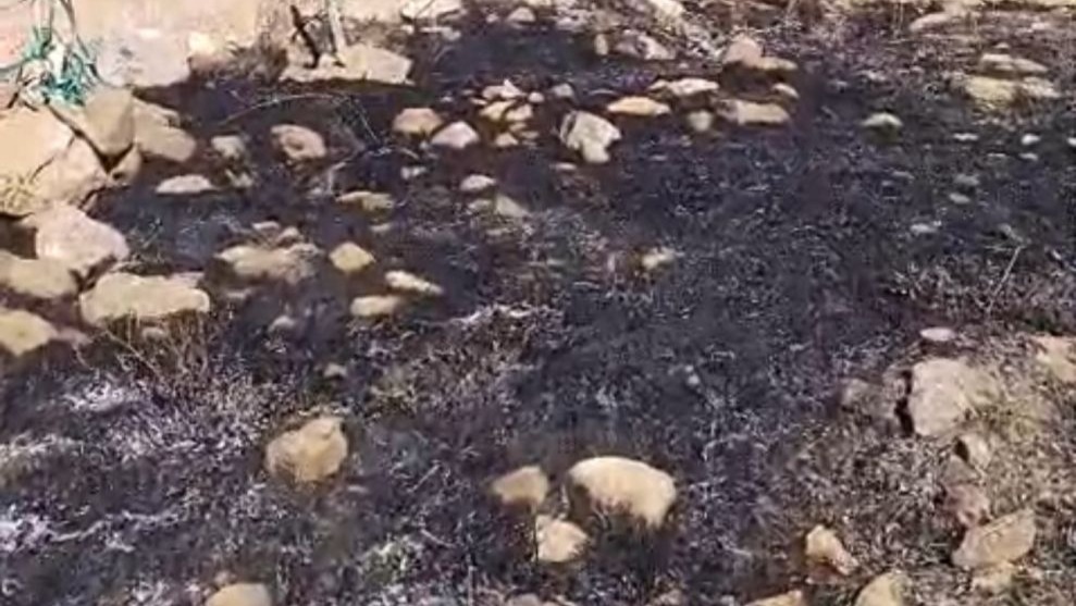 Yüksekova’da anız yangını kontrol altına alındı