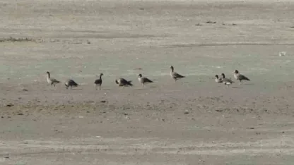 Zorlu göçün durağı Erçek Gölü