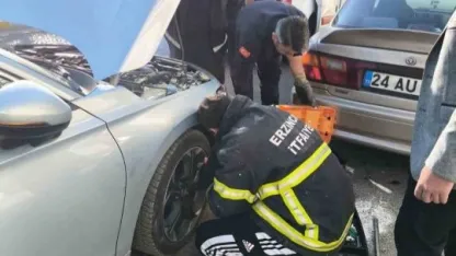 Otomobilin motor kısmına sıkışan yavru kedi itfaiye ekiplerince kurtarıldı