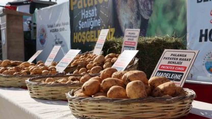 Darende’de yerli patates tohumu şenliği düzenlendi