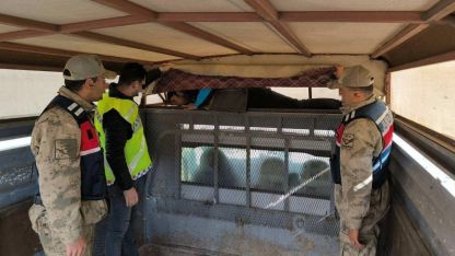 Erzurum’da bir ay içinde 28 düzensiz göçmen yakalandı