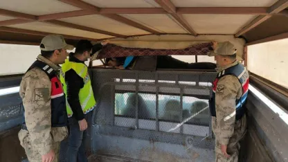 Erzurum’da bir ay içinde 28 düzensiz göçmen yakalandı