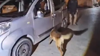 Bitlis’teki uyuşturucu operasyonunda 1 kişi tutuklandı