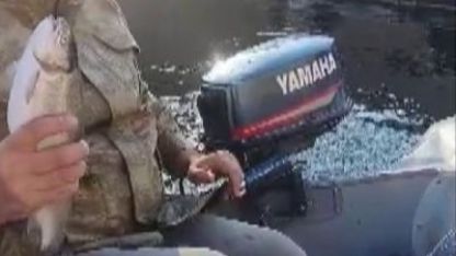Malatya’da amatör balıkçı ile kedi arasındaki diyalog gülümsetti
