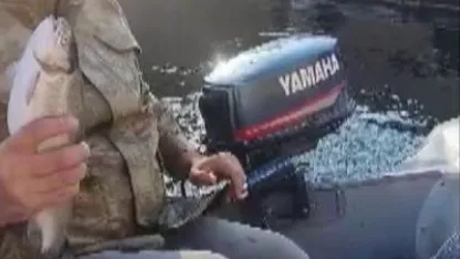 Malatya’da amatör balıkçı ile kedi arasındaki diyalog gülümsetti