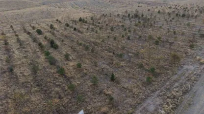 Patnos'ta fidanlar toprakla buluştu