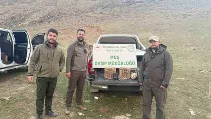 Muş'ta kafes avcılığı yapan şahıs suçüstü yakalandı: 20 bin TL ceza