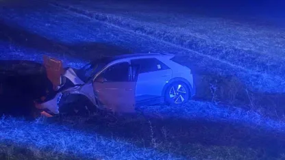 Otomobil yola çıkan ineğe çarptı