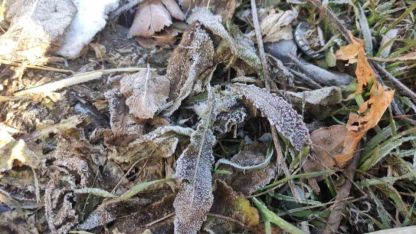 Göle ilçesi Türkiye’nin en soğuk yerleşim yeri oldu