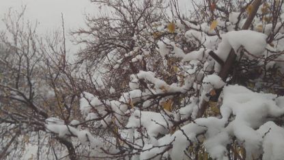 Malatya’da sağanak ve kar yağışı etkili oluyor