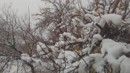 Malatya’da sağanak ve kar yağışı etkili oluyor