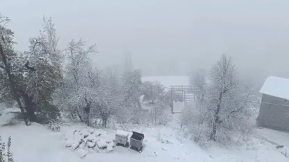 Bahçesaray'da kar yağışı0