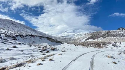 Adilcevaz'ın Aydınlar Beldesinde kar yağışı