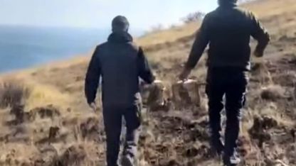 Rehabilite edilen keklikler yeniden doğayla buluştu