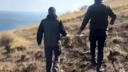 Rehabilite edilen keklikler yeniden doğayla buluştu