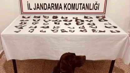 Kapsülün içinden ilaç yerine uyuşturucu çıktı