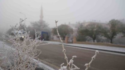 Erzurum güne sis ve kırağı ile uyandı