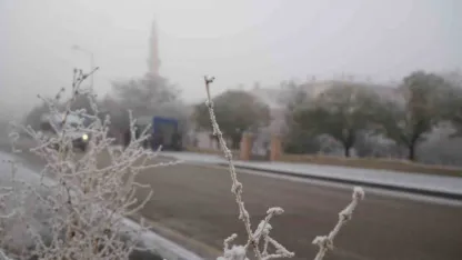 Erzurum güne sis ve kırağı ile uyandı