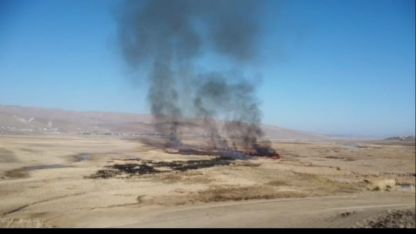 Van'ın Özalp ilçesinde sazlık yangını