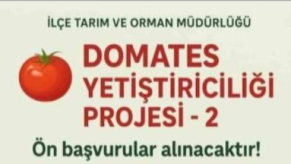 Domates Yetiştiriciliği projesi için ön başvurular başladı