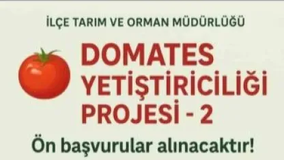 Domates Yetiştiriciliği projesi için ön başvurular başladı
