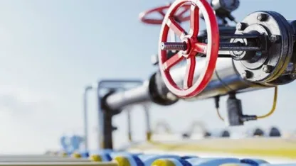 PALEN, kış ortasında dondurdu