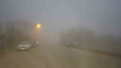 Erzincan'da yoğun sis hayatı olumsuz etkiledi